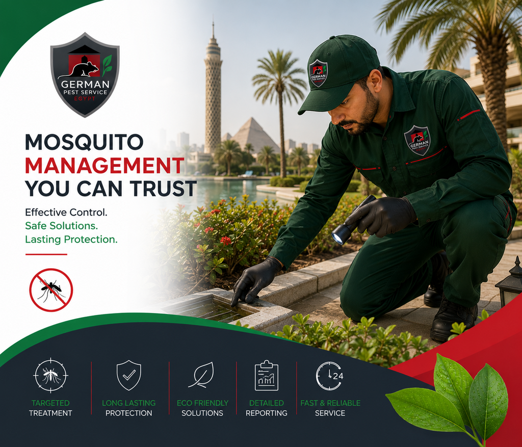 Mosquito management and pest control service in Egypt
